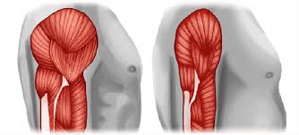 Sarcopenia